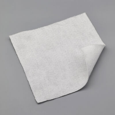 Geotekstil Serat Stapel PP Ramah Lingkungan untuk Pengendalian Erosi Pesisir