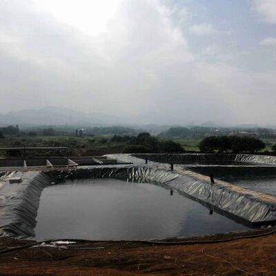 UV Resistant 1.5mm Smooth HDPE Geomembrane Liner untuk Waduk Irigasi Pertanian