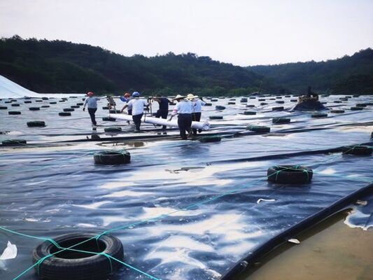 1.5mm HDPE Geomembrane Liner dengan ketahanan kimia khusus untuk Mining Heap Leach Pad