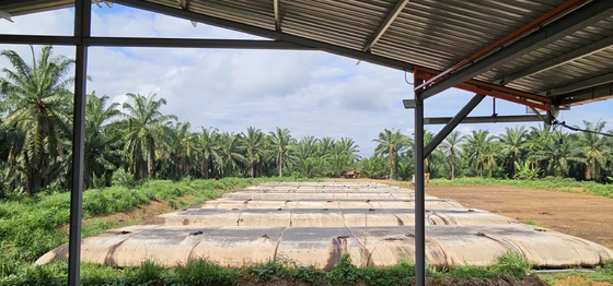PENGURANGAN KADAR AIR DENGAN GEOTEXTILE TUBE DIGUNAKAN UNTUK MEMBANTU MENGUBAH LUMPUR LIMBAH PABRIK KELAPA SAWIT MENJADI PUPUK