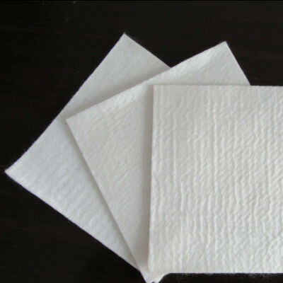 Geotekstil Serat Stapel PP Ramah Lingkungan untuk Pengendalian Erosi Pesisir