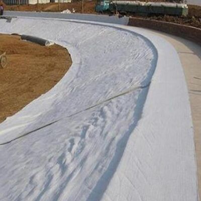 200g 250g Jarum Punched Polyester Non Woven Geotextile untuk Menjaga Drainase Dinding