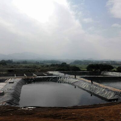 Liner Geomembrane HDPE tahan lama Liner Kolam Pertanian Untuk Pembangunan Akuakultur yang Aman