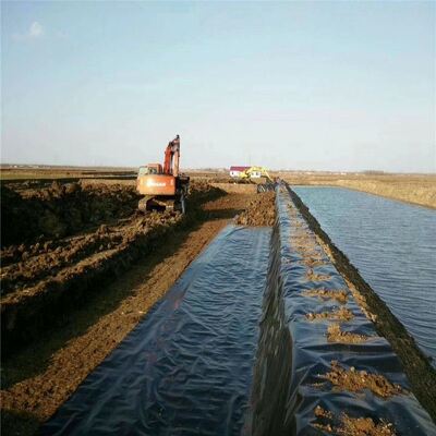 Liner Geomembrane HDPE yang Aman untuk Ikan Untuk Waduk Irigasi Pertanian