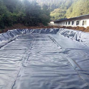 Liner Geomembrane HDPE TPA Tebal untuk Sel Penahan Sampah Kota