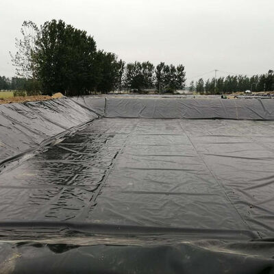 Liner Geomembran HDPE Hitam untuk Kolam Udang dan Ikan Air Asin