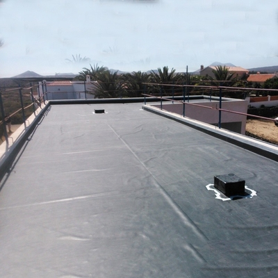 1mm 2mm LDPE Geomembrane Liner Tangki Danau Geomembrane Tahan Air Buatan