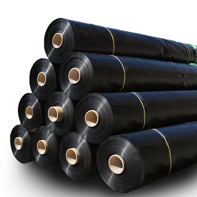 0.2mm-4mm HDPE Geomembrane Liner Untuk Proyek Konstruksi Lingkungan