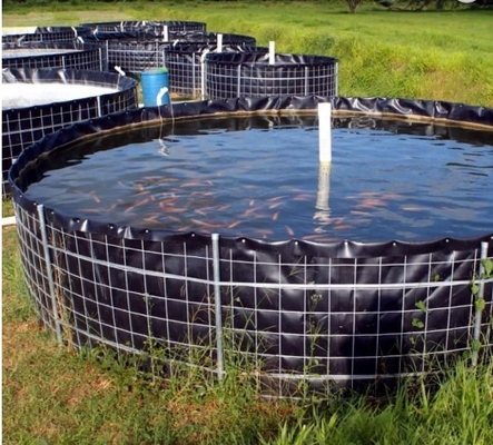 Permukaan Halus PVC Geomembrane Liner Tebal 0.2 ~ 3mm Untuk Memberi Makan Ikan Udang