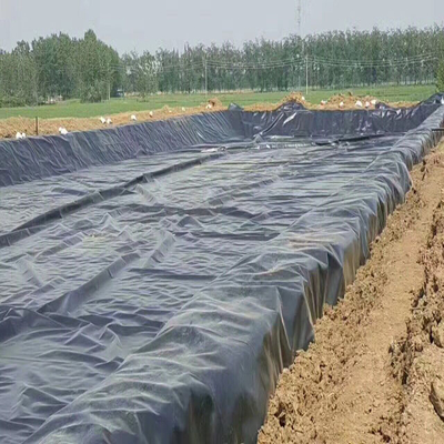 Pertanian Pond HDPE Geomembrane Liner Ketebalan 0.2mm-4mm
